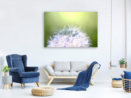 panoramic-3-piece-canvas-print-dandelion-xl-in-morning-dew