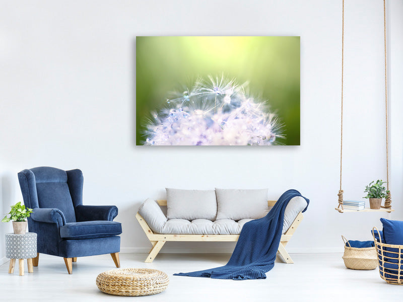 5-piece-canvas-print-dandelion-xl-in-morning-dew