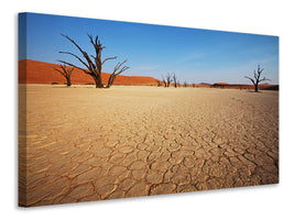 modern-4-piece-canvas-print-desert