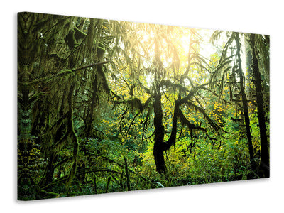 4-piece-canvas-print-dreamy-forest