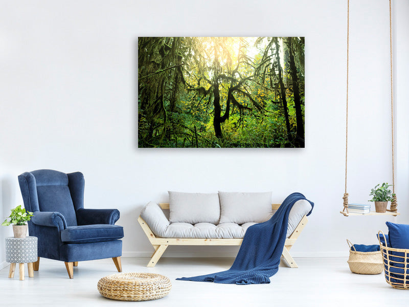 5-piece-canvas-print-dreamy-forest