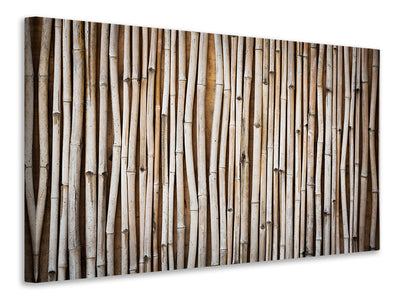 3-piece-canvas-print-dried-bamboos
