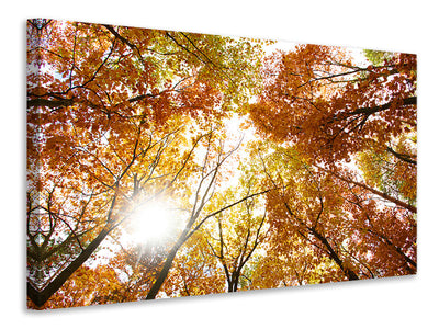 3-piece-canvas-print-enlightened-autumn-trees