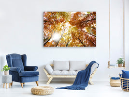 modern-4-piece-canvas-print-enlightened-autumn-trees