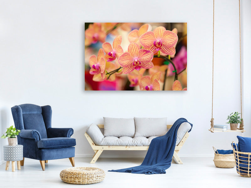3-piece-canvas-print-exotic-orchids
