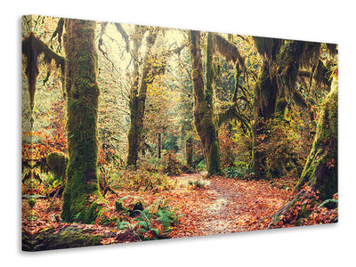 3-piece-canvas-print-fairies-forest