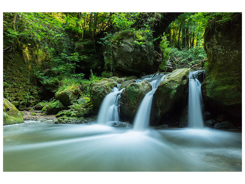 4-piece-canvas-print-falling-water-in-the-wood