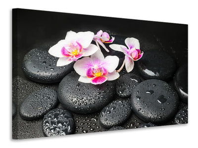 modern-3-piece-canvas-print-feng-shui-orchid-zen