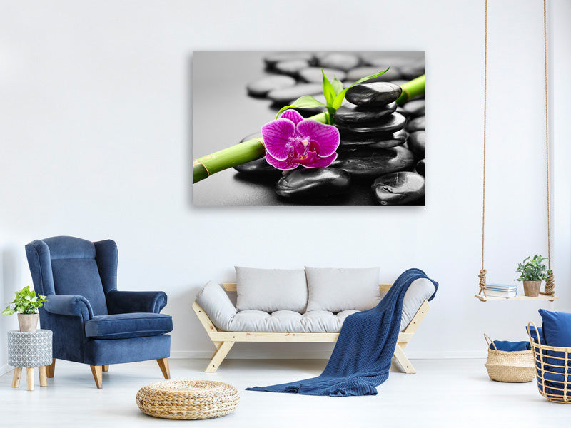 5-piece-canvas-print-feng-shui-orchid