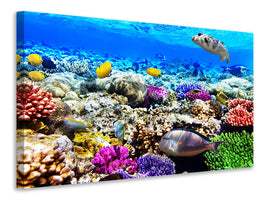 5-piece-canvas-print-fish-aquarium