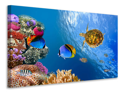 modern-3-piece-canvas-print-fish-in-the-water