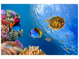 3-piece-canvas-print-fish-in-the-water