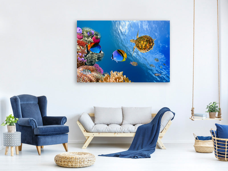 modern-4-piece-canvas-print-fish-in-the-water