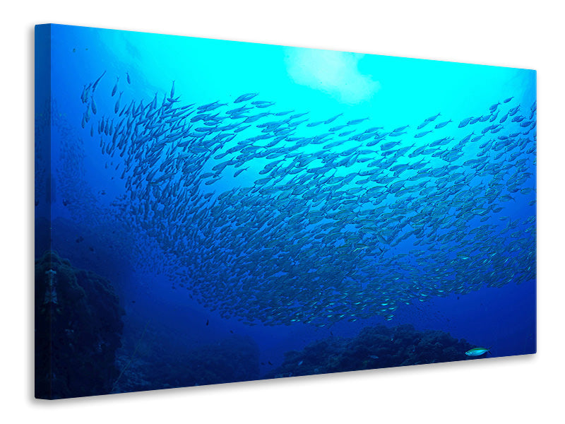 panoramic-3-piece-canvas-print-fish-world