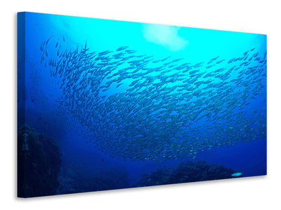 3-piece-canvas-print-fish-world