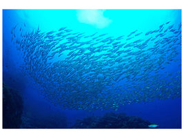 panoramic-3-piece-canvas-print-fish-world