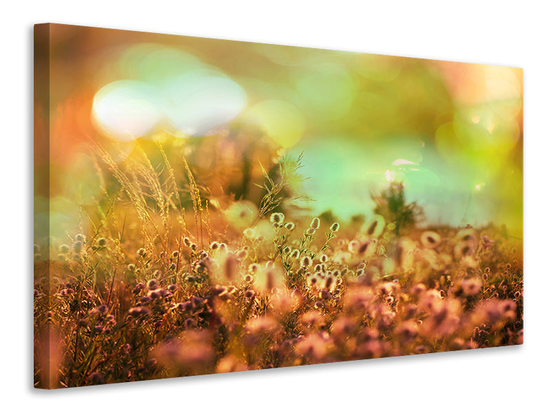 5-piece-canvas-print-flower-meadow-at-twilight