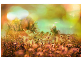 panoramic-canvas-print-flower-meadow-at-twilight