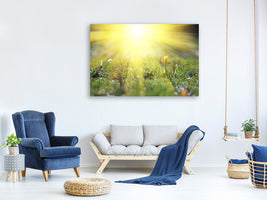 panoramic-3-piece-canvas-print-flowery-meadow