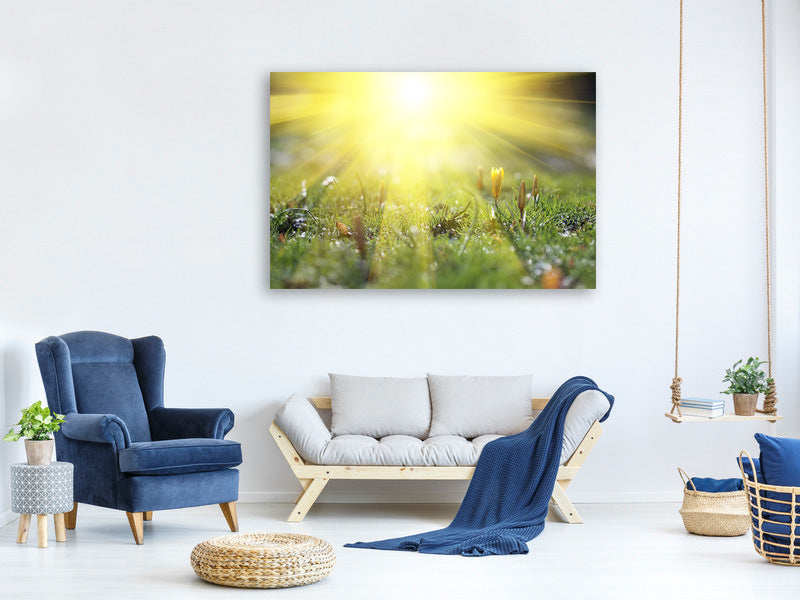panoramic-canvas-print-flowery-meadow