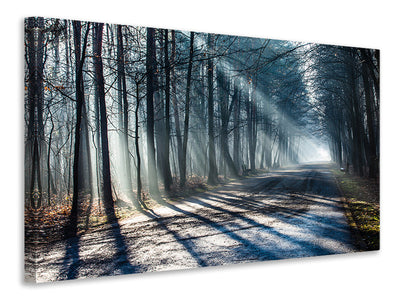 modern-3-piece-canvas-print-forest-in-the-light-beam