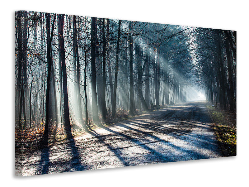 panoramic-3-piece-canvas-print-forest-in-the-light-beam