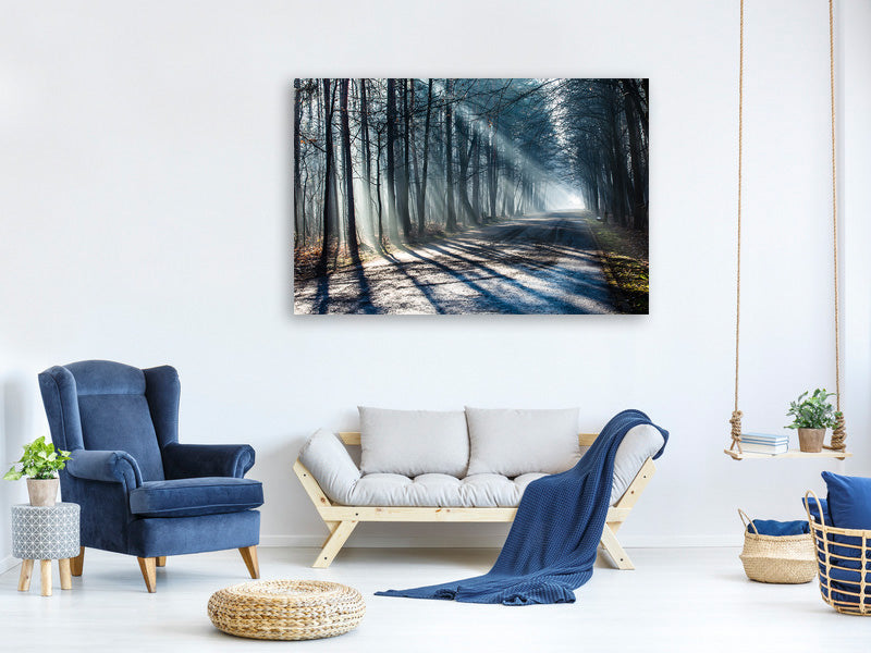 4-piece-canvas-print-forest-in-the-light-beam
