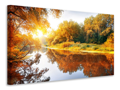 5-piece-canvas-print-forest-reflection-in-water