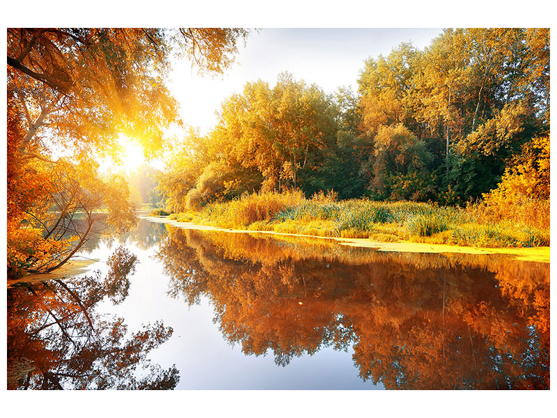 modern-3-piece-canvas-print-forest-reflection-in-water