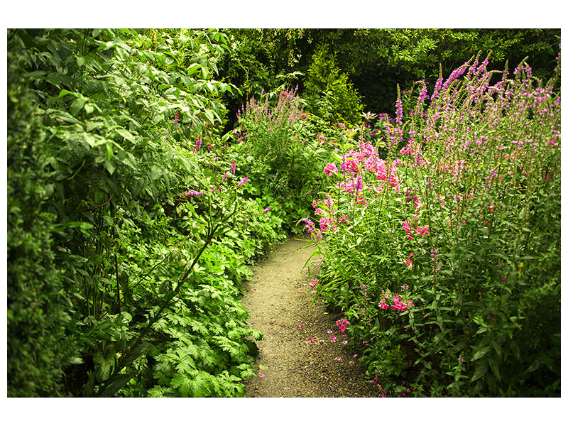 modern-4-piece-canvas-print-garden-path