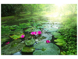 5-piece-canvas-print-garden-pond