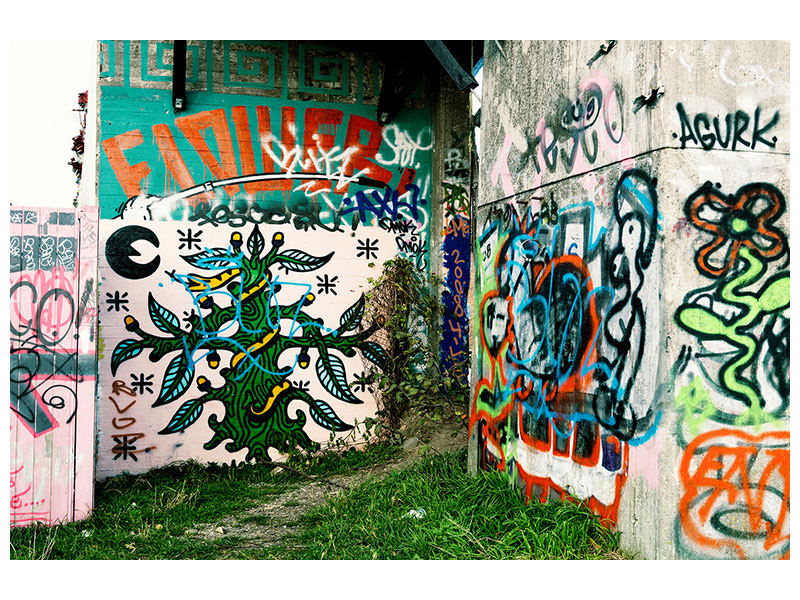 panoramic-3-piece-canvas-print-graffiti-in-the-backyard