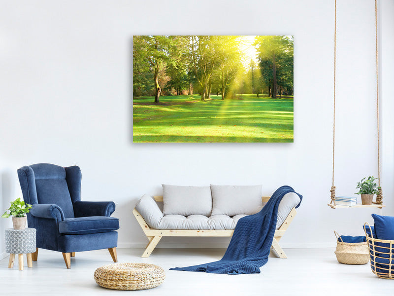 modern-4-piece-canvas-print-in-the-park