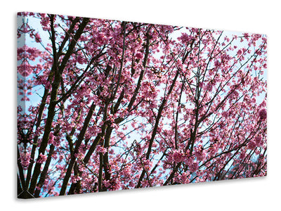 modern-3-piece-canvas-print-japanese-cherry-blossom