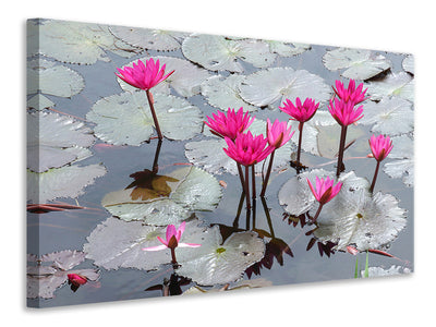 modern-3-piece-canvas-print-jump-in-the-lily-pond