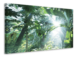 5-piece-canvas-print-jungle-star