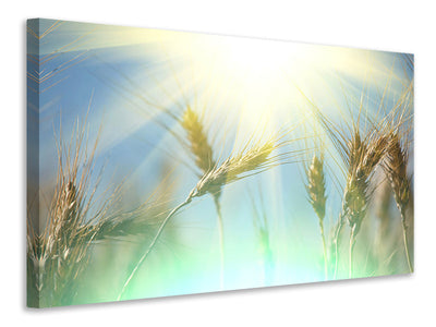 5-piece-canvas-print-king-of-cereals
