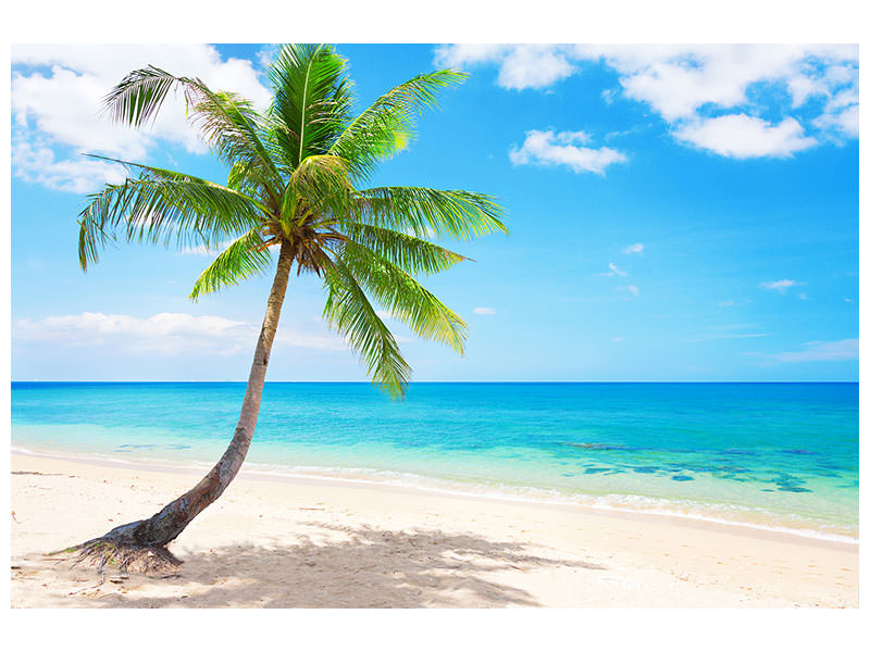 modern-4-piece-canvas-print-koh-lanta