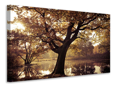 5-piece-canvas-print-landscape-park