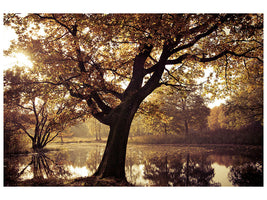 5-piece-canvas-print-landscape-park