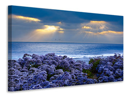 modern-4-piece-canvas-print-lavender-and-sea