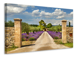 modern-4-piece-canvas-print-lavender-garden