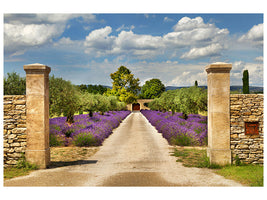 5-piece-canvas-print-lavender-garden