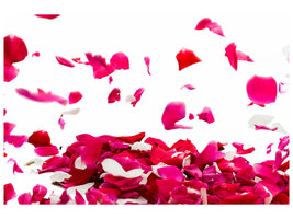 5-piece-canvas-print-let-it-rain-red-roses-for-me