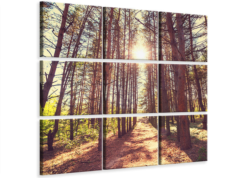 canvas-print-light-at-the-end-of-the-forest-path