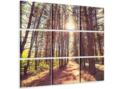 canvas-print-light-at-the-end-of-the-forest-path