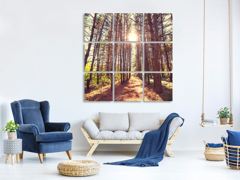 canvas-print-light-at-the-end-of-the-forest-path