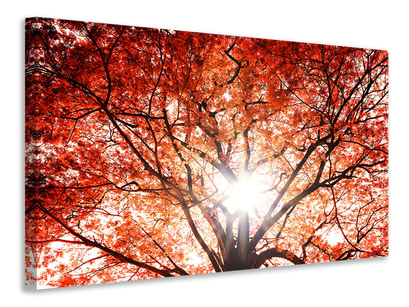 panoramic-3-piece-canvas-print-light-of-autumn
