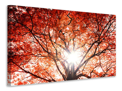 modern-3-piece-canvas-print-light-of-autumn