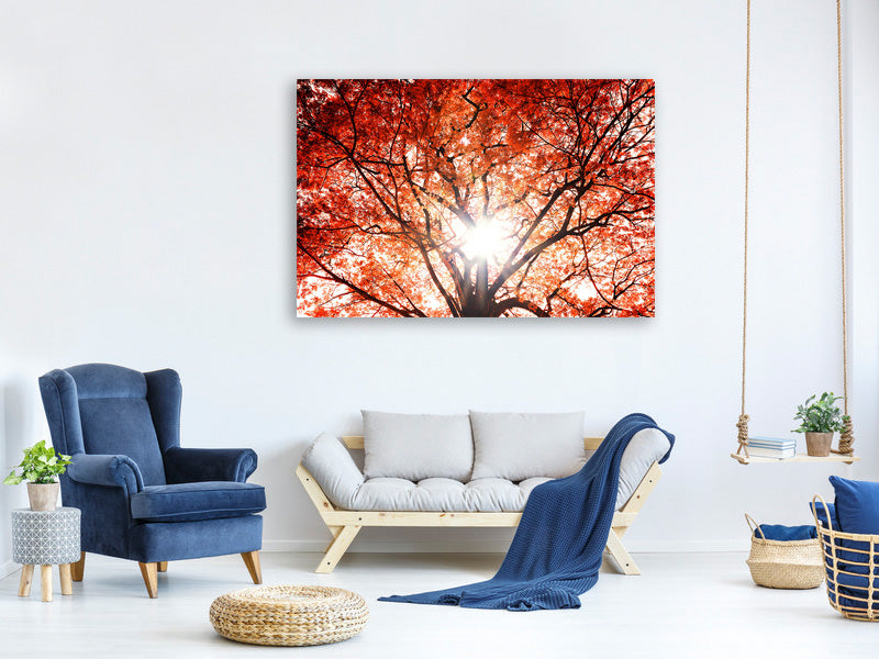 4-piece-canvas-print-light-of-autumn